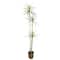 6ft. Yucca Faux Plant in Woven Basket by Ashland®